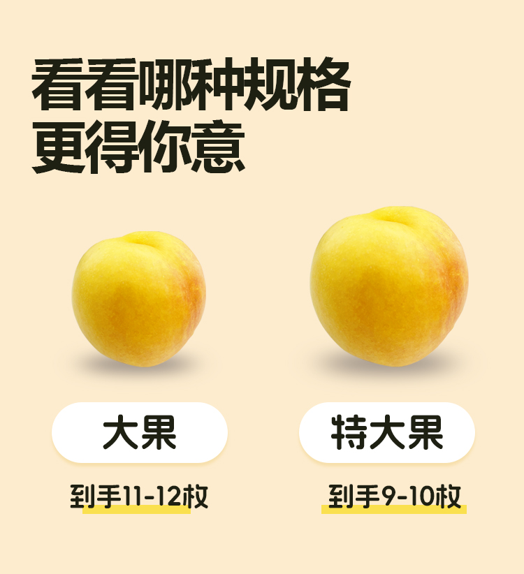 详情页---副本_11.jpg 详情页---副本_11.jpg