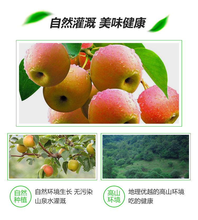 南果梨-精品详情页1_07.jpg