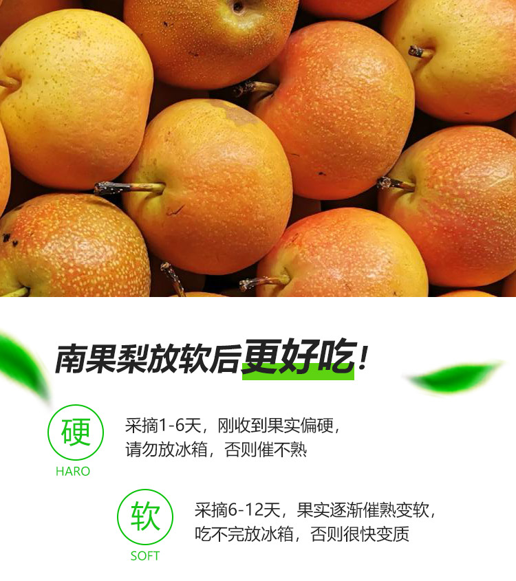 南果梨-精品详情页2_04.jpg