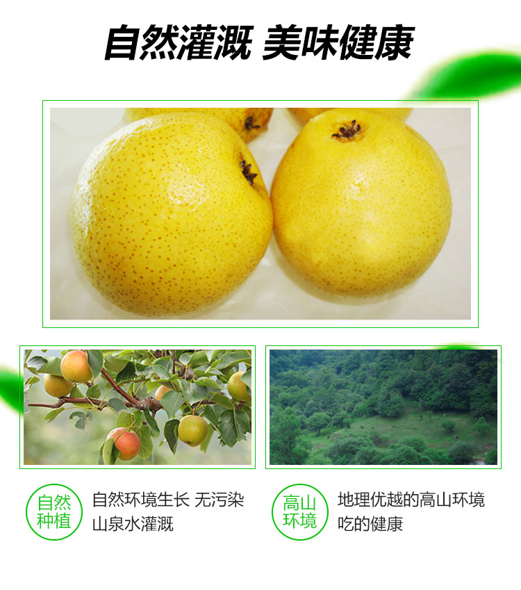 南果梨-家庭装_05.jpg