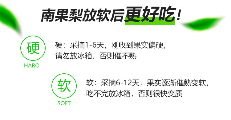 南果梨-家庭装_09.jpg