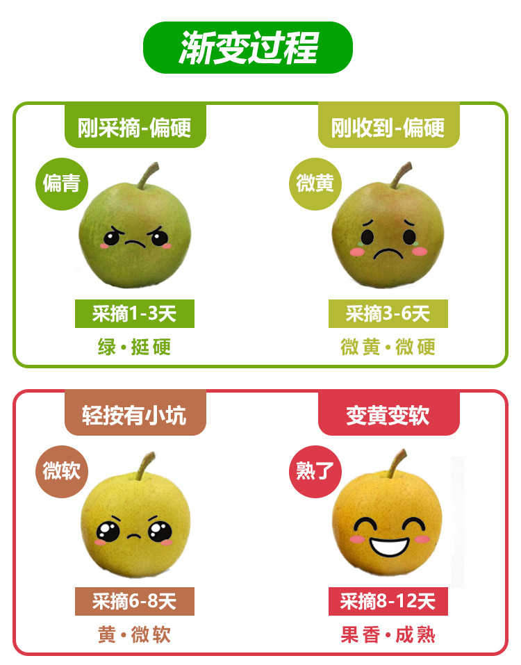 南果梨-家庭装_10.jpg