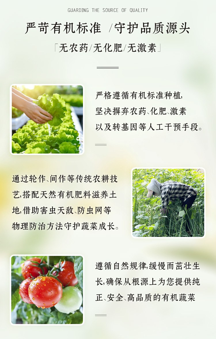 详情页_04.jpg 详情页_04.jpg