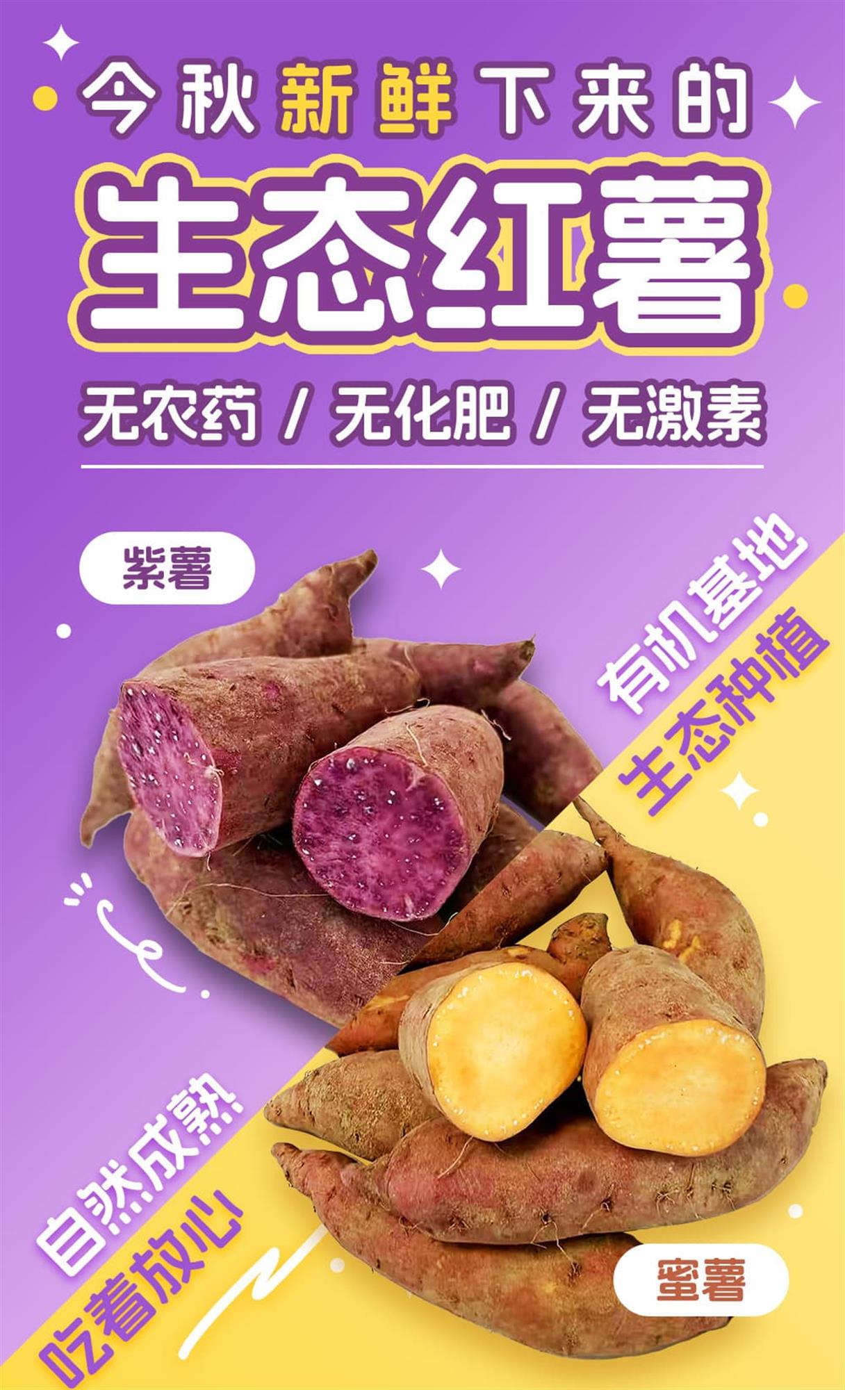 详情图1_01.jpg 详情图1_01.jpg