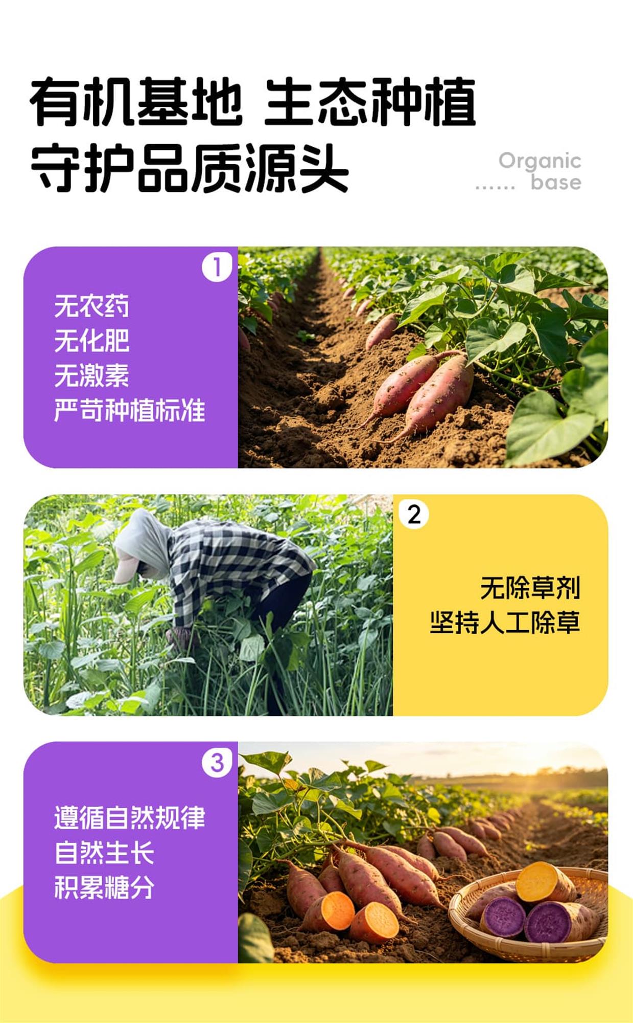 详情图1_04.jpg 详情图1_04.jpg