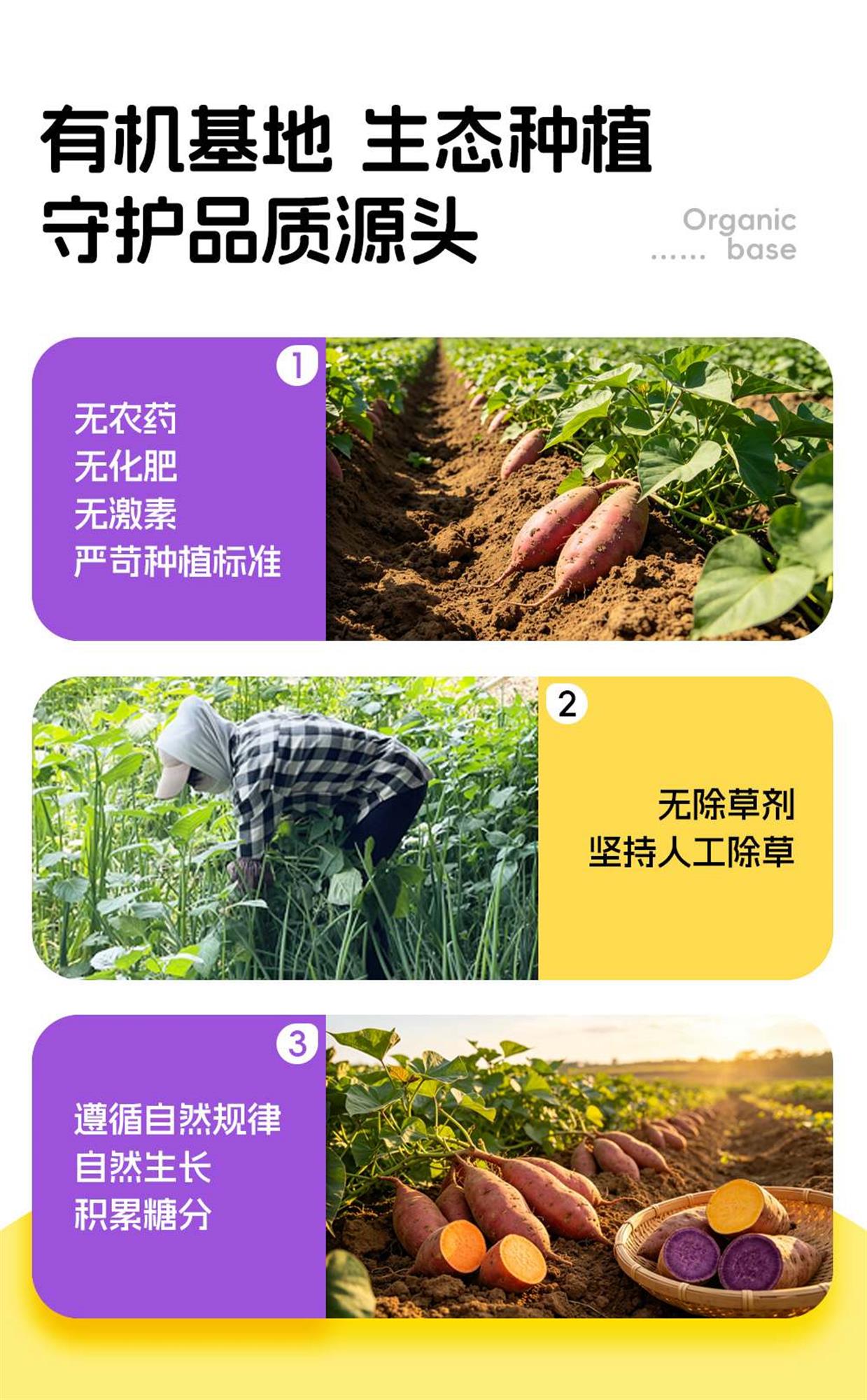详情图1_04.jpg