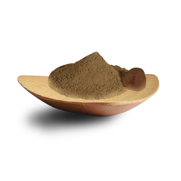 灰树花栗蘑舞茸粉250g冲饮粉增强免疫力出口品质