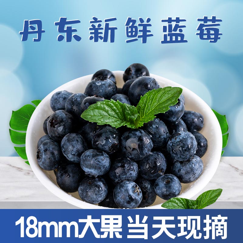 蓝莓 丹东特产新鲜蓝莓特大果18mm以上 125g*4盒/125g*6盒