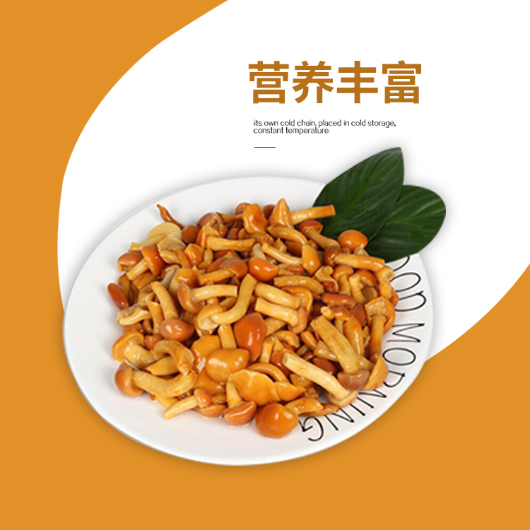 广天出口日本滑子蘑罐头6罐400g包邮