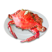 东港梭子蟹每只半斤左右5斤母蟹螃蟹蟹子飞蟹肥美鲜活