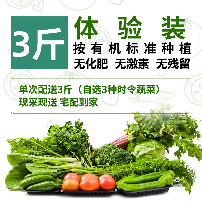 有机蔬菜体验装3斤，无农药、无化肥、无激素、安全新鲜采摘 丹东市内每周四免费配送，省内加10元运费