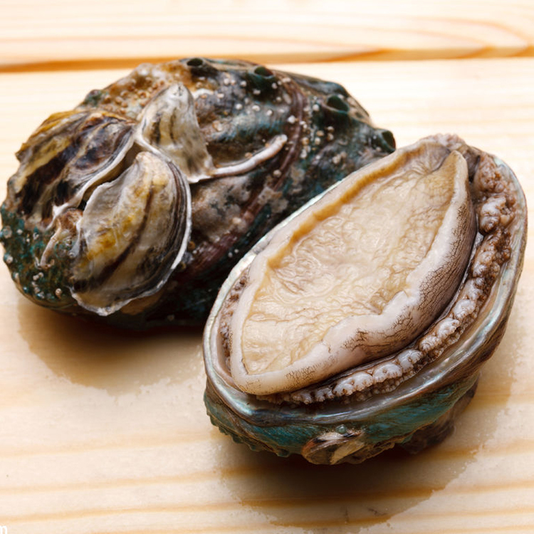 【丹东特产】丹东海鲜大号鲍鱼(10头/斤)(省外满三斤顺丰包邮)