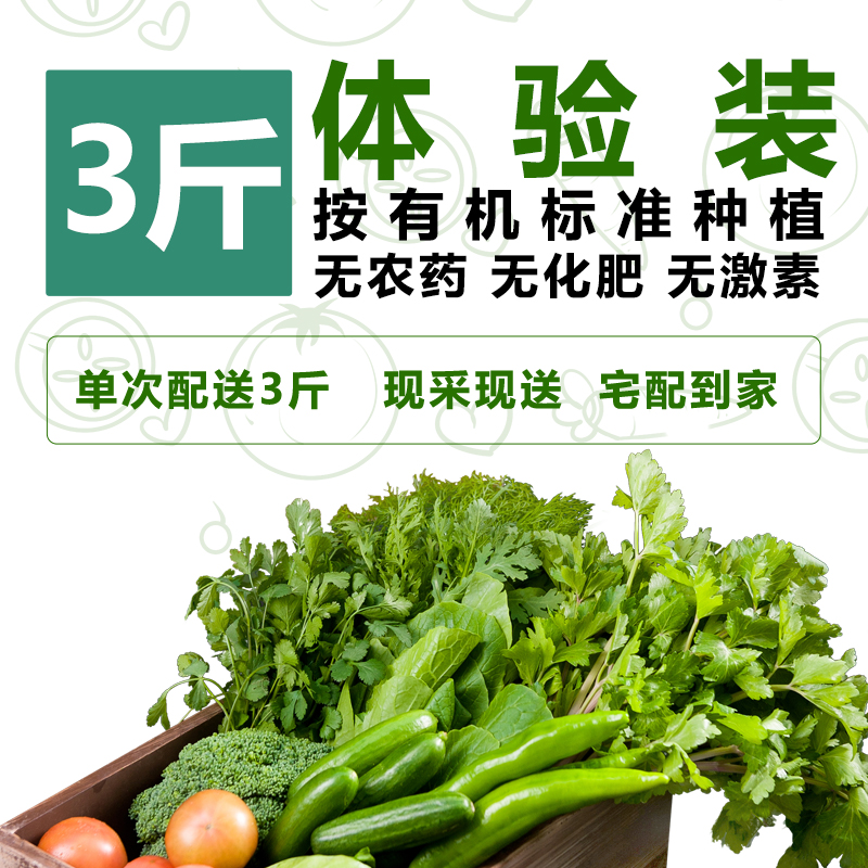 有机蔬菜体验装3斤，无农药、无化肥、无激素、安全新鲜采摘